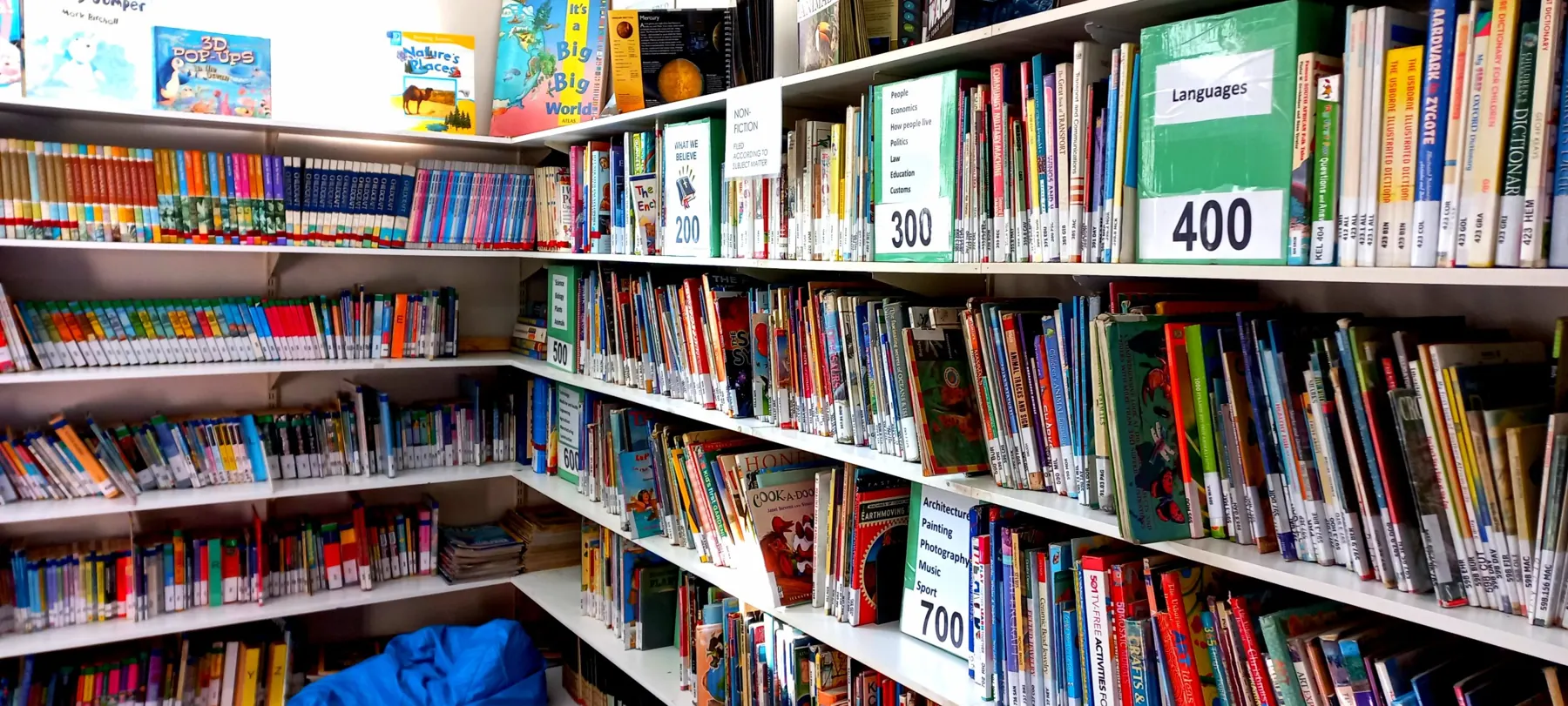 The Japari School library